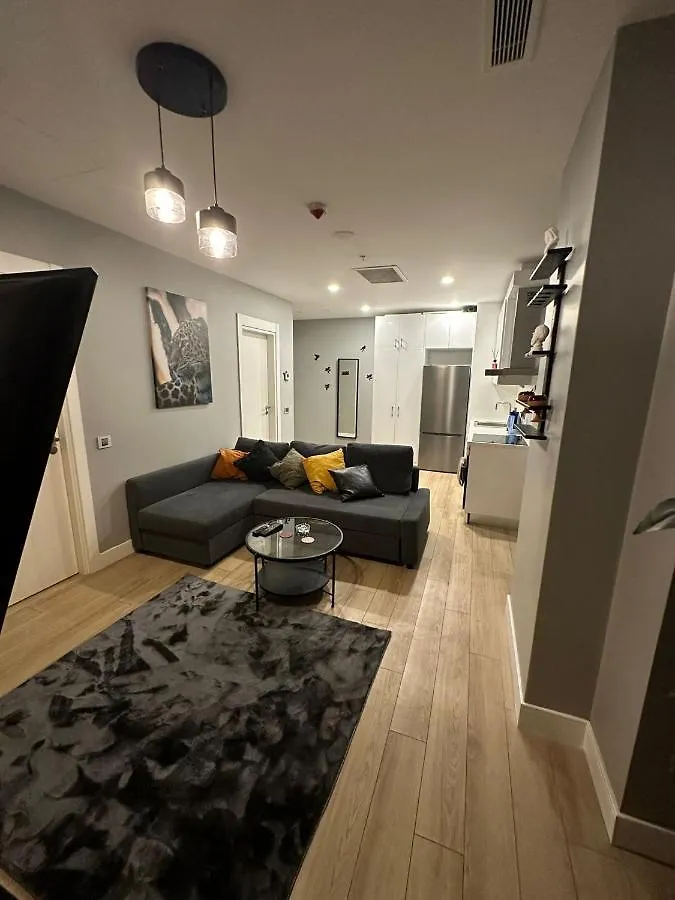 Kartal Lueks Daire Стамбул Апартаменты